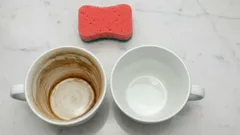 Hoe je eenvoudig theevlekken en koffievlekken uit kopjes verwijdert: huismiddelen die echt werken