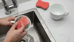 Afwassen van een kopje met een sponsje bij een gootsteen en stromend water.