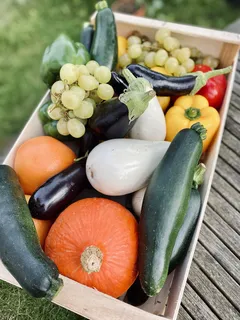 Houten krat met diverse verse groenten verpakt