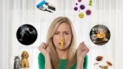 Frisse lucht in huis: eenvoudige en snelle doe-het-zelf oplossingen zonder chemicaliën