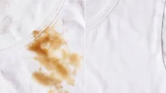Vergelijking: wit shirt met en zonder bruine vlek, vlekverwijdering resultaat.